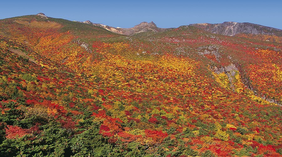 ⛷️ 아다타라 고원 스키 리조트 이미지 5